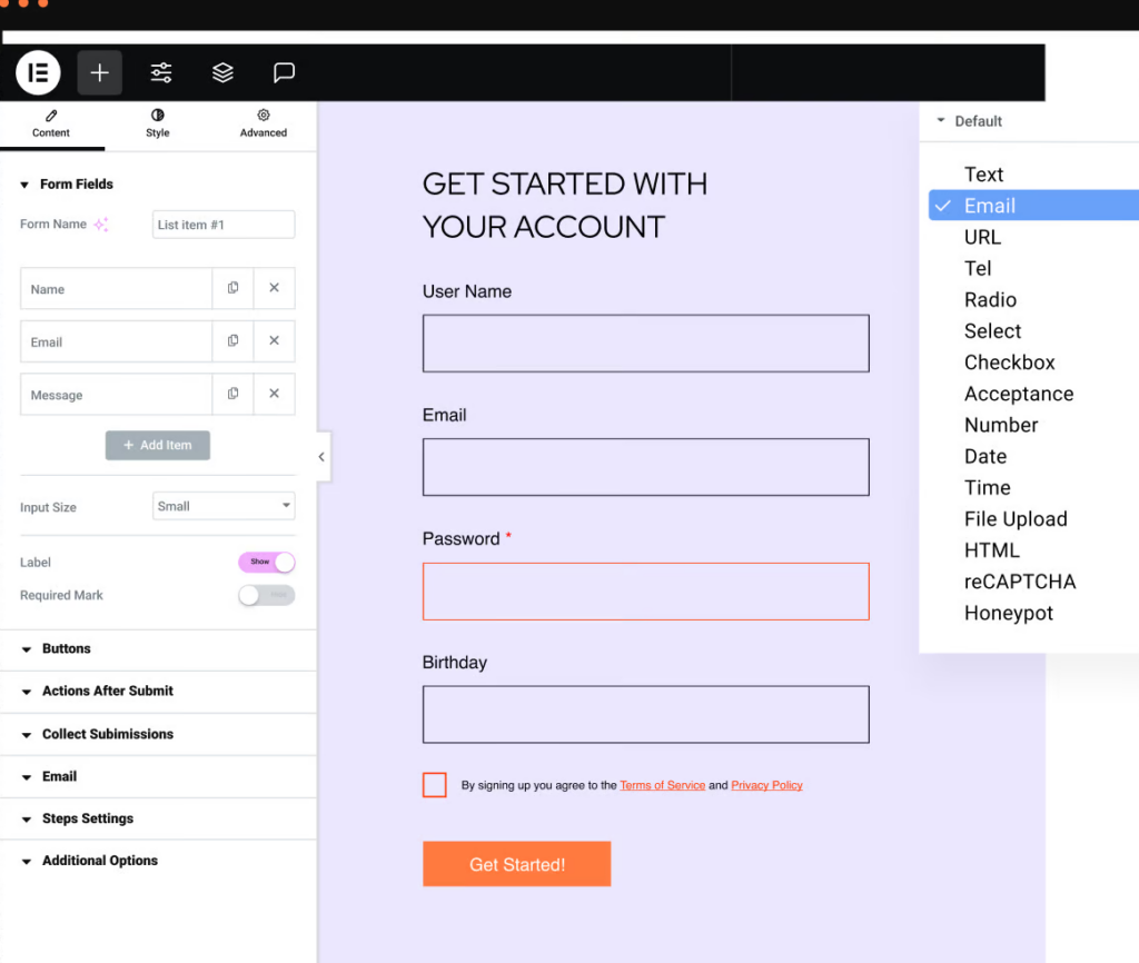 WordPress web forms